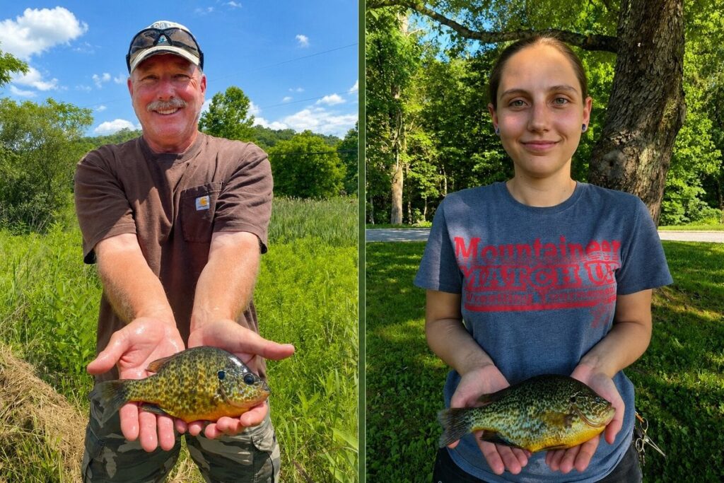 West Virginia’s new state fishing record lasted 19 days before another angler broke it West Virginia anglers Ken Neer (left) and Sierra Adamson each caught state-record pumpkinseed sunfish in summer 2026. Adamson's catch surpassed Neer's record just 19 days after it established the species' first official place in the state's record books.