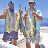 How far to the mahi-mahis? One mile per inch! | Fishing How far to the mahi-mahis? One mile per inch! | Columns