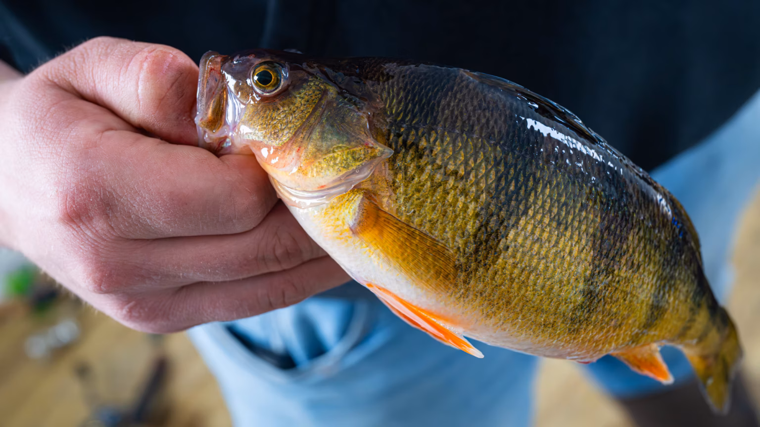 Beyond the base: ice fishing on Devils Lake > Minot Air Force Base > Article Display Beyond the base: ice fishing on Devils Lake > Minot Air Force Base > Article Display