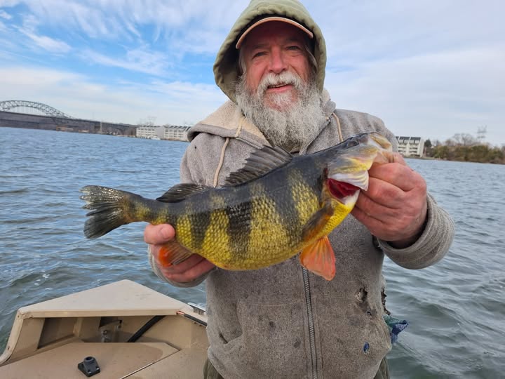 Fishing Victories: MD State Records for Yellow Perch, Longnose Gar, Set Just One Day Apart