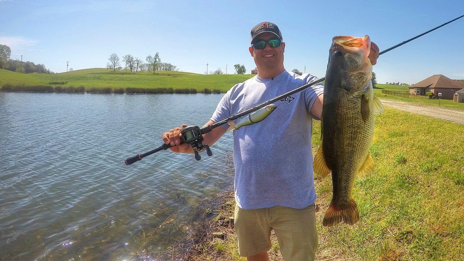 Bank Fishing with Big Swimbaits for Bass Bank Fishing with Big Swimbaits for Bass