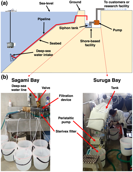 Environmental DNA from pumped deep-sea water enables monitoring of deep-sea fish diversity