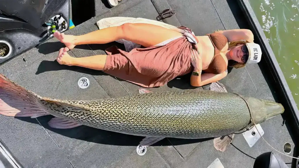 Crappie Guide And Tourney Pro Uses Forward-Facing Sonar To Target 200-Pound Dinosaurs Angler with huge gar