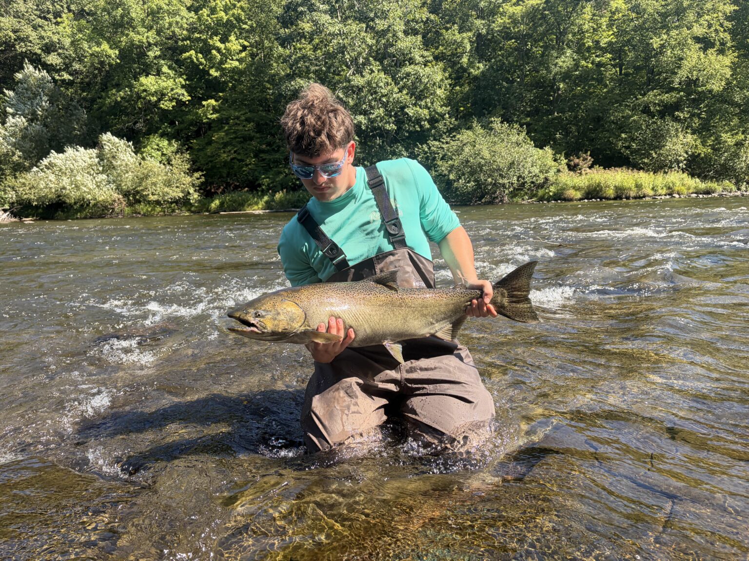 2nd time catching a salmon this one put up a nice fight