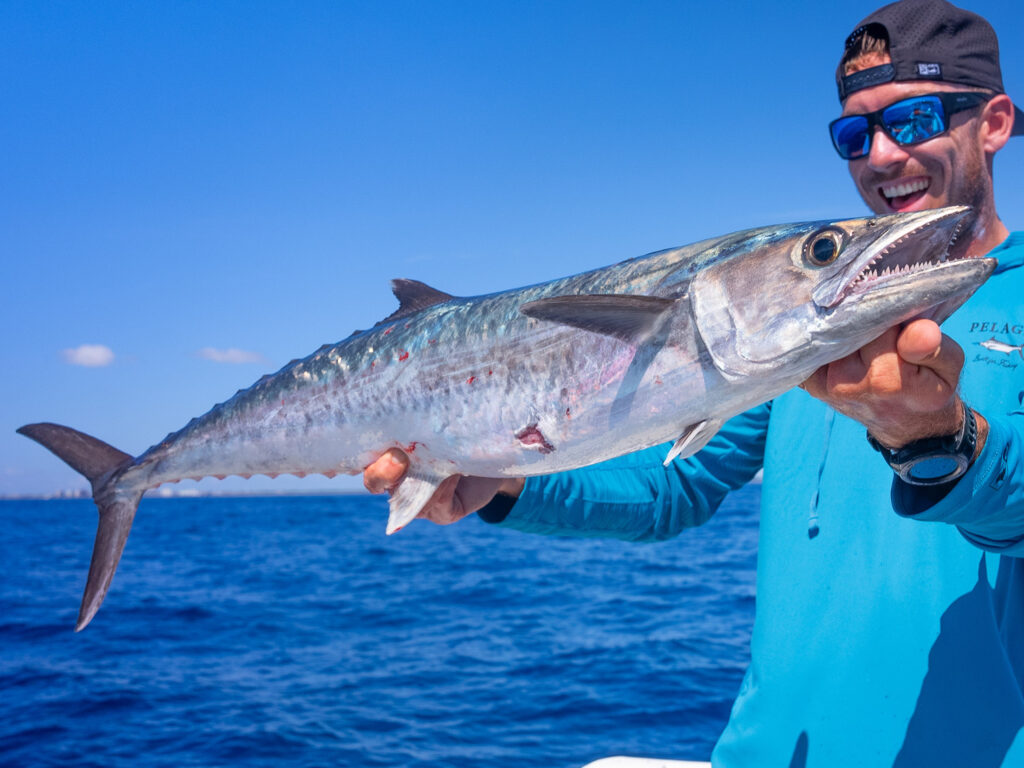 Four Fall Fishing Destinations king mackerel