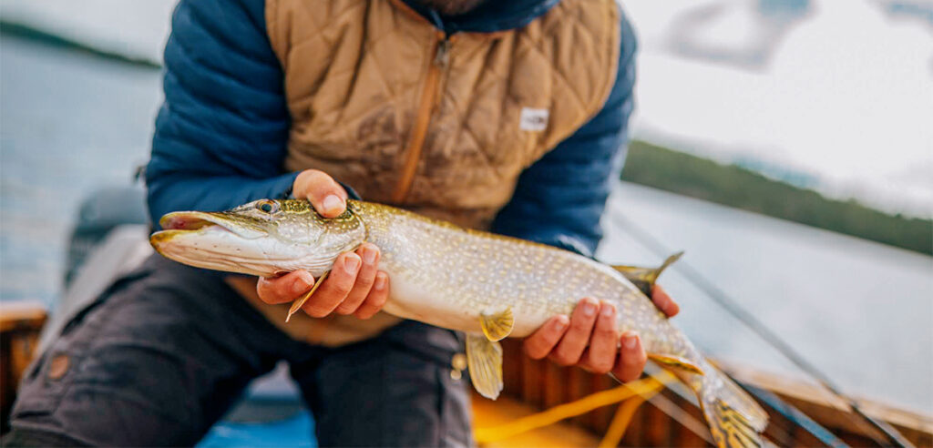 Best sport fish species | Destination Ontario