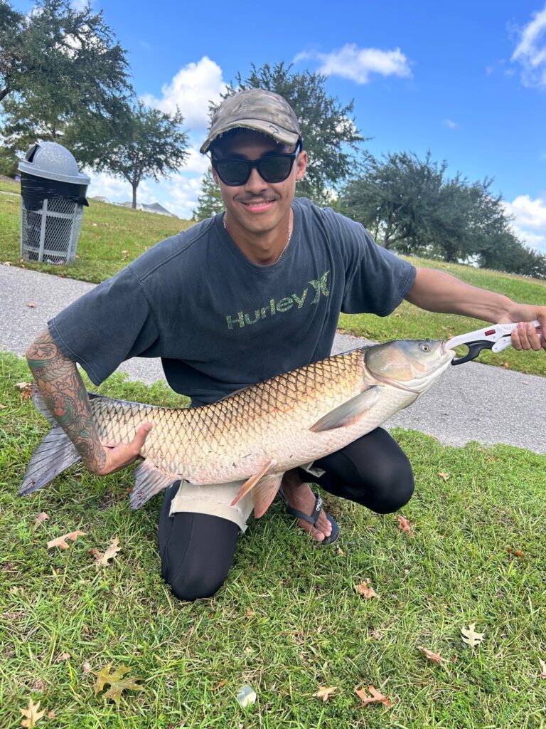 Grass carp caught with actual grass Grass carp caught with actual grass