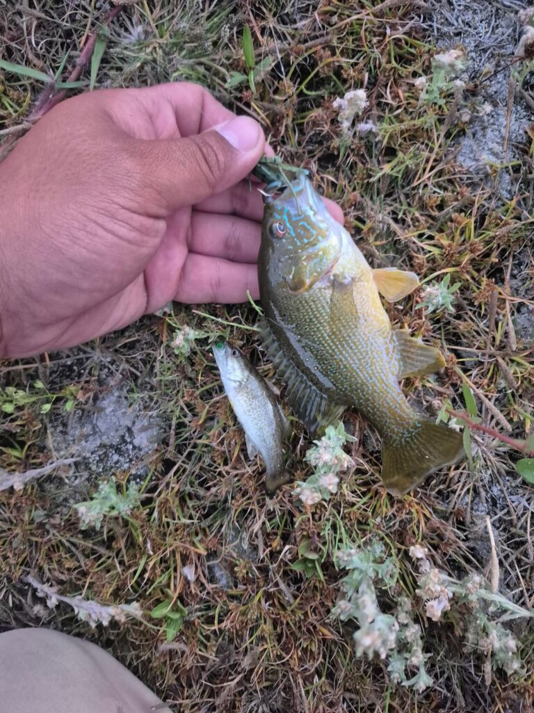 Went to test my new fly rod. Went to test my new fly rod.