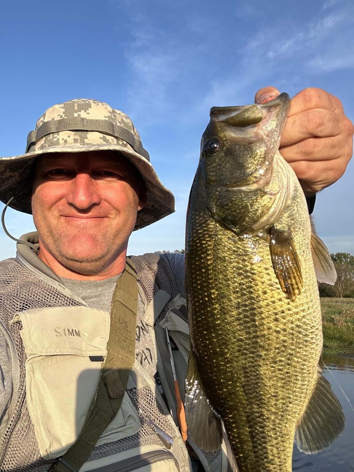 Fish scale question…