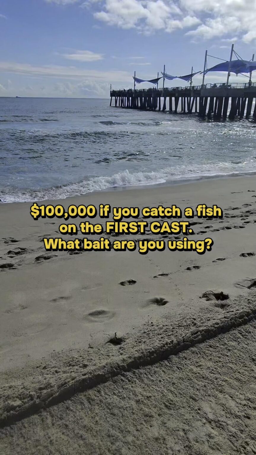 What bait would you use if you had to catch a fish on your first cast ?🐟