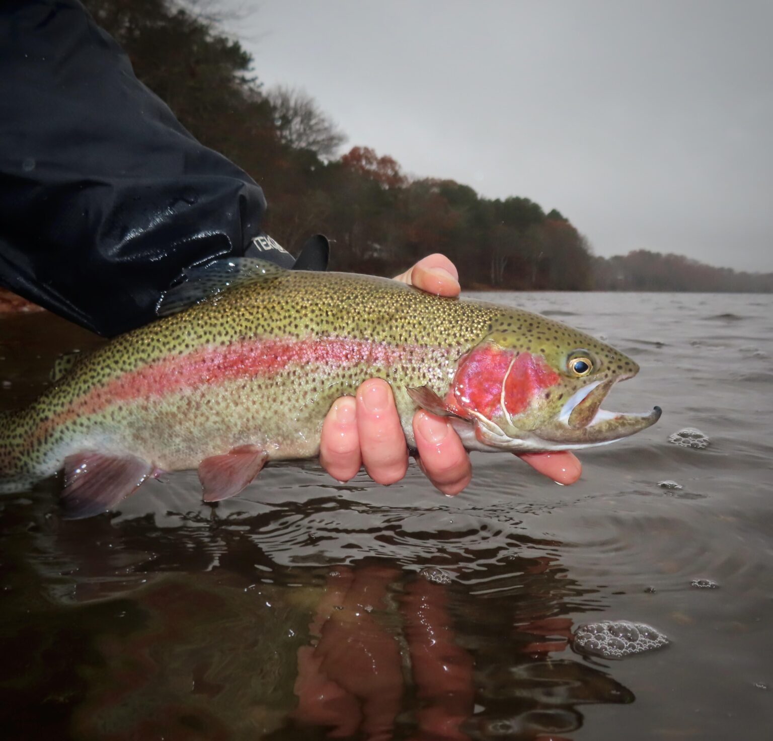 Kettle pond rainbow from Cape cod