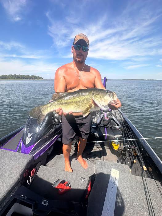 Lake Fork toad