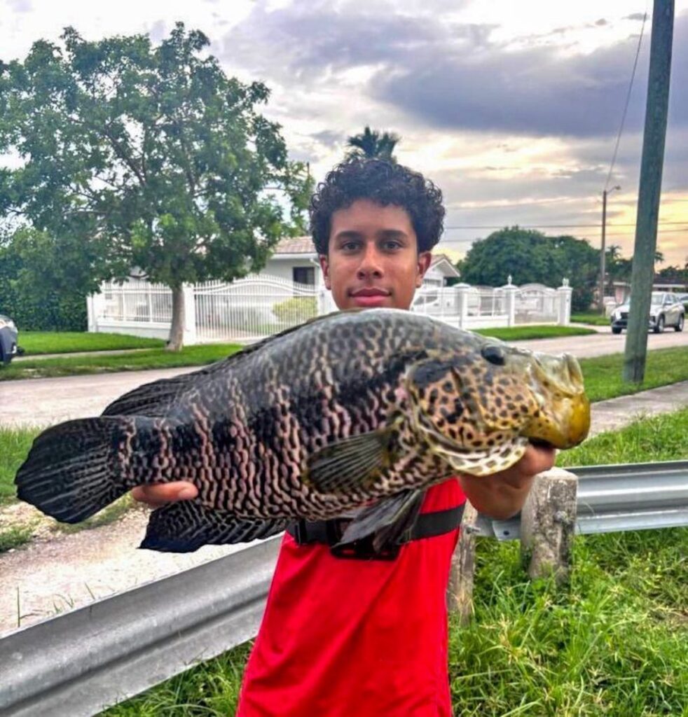 Teen Angler Lands Record Jaguar Guapote in Florida