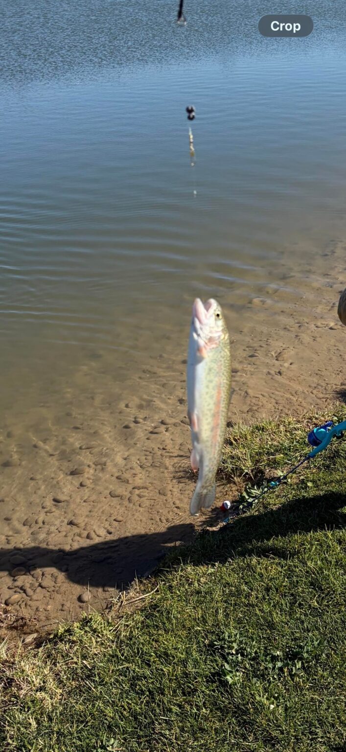 Today I Caught my first fish ever at 29 years old. It’s never too late.