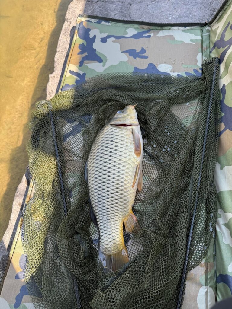 Lost one landed two