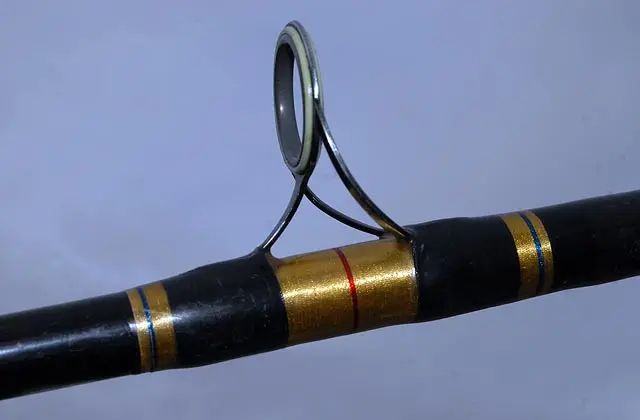 I decided to go with Fuji BNHG aluminium oxide line guides. They are durable, tough, and look good.