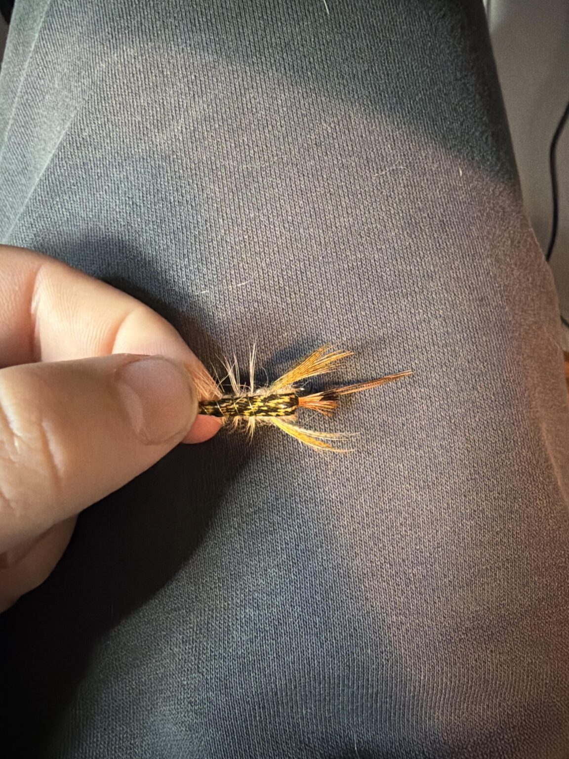 Found this in my truck