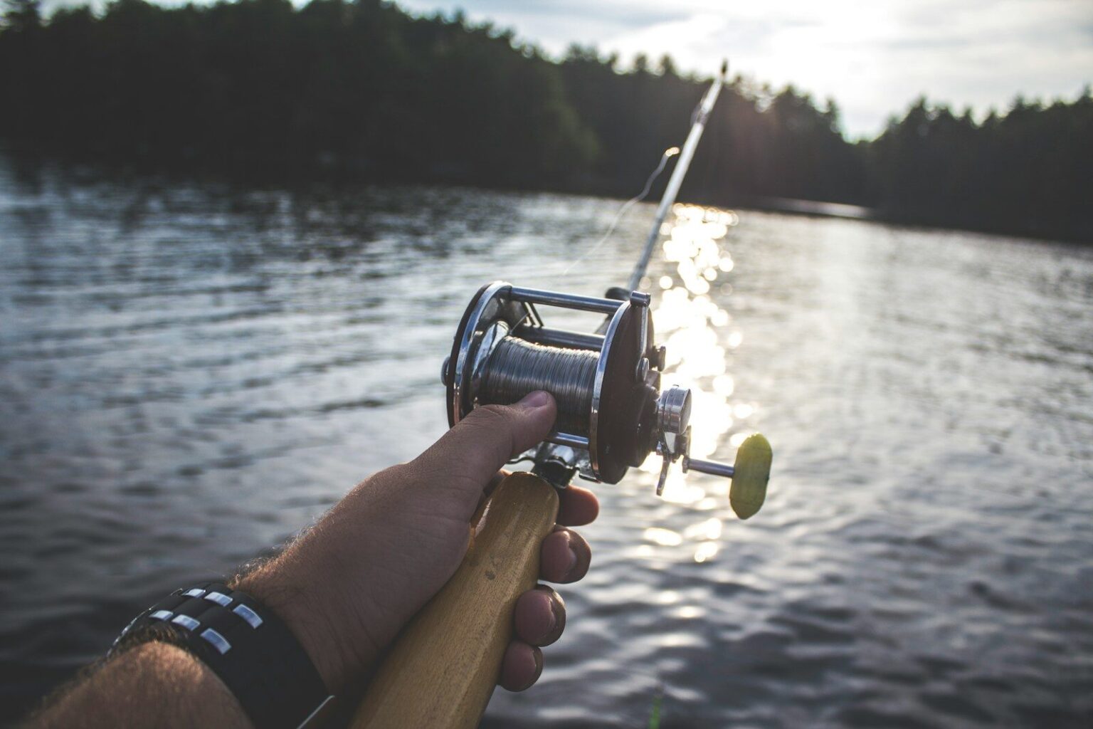 What are the Best Places for Freshwater Fishing in Eryri National Park? person holding black and silver fishing reel
