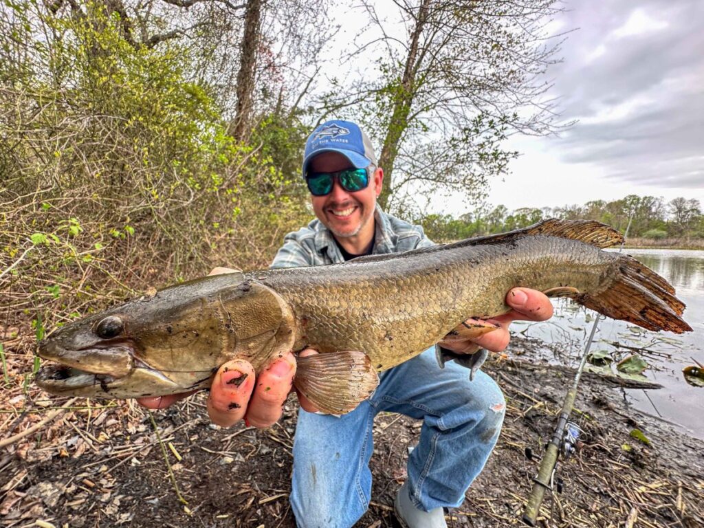 Fishing for Dinosaurs: This Ancient Species Is One of Our Most Underrated Gamefish Fishing for Dinosaurs: This Ancient Species Is One of Our Most Underrated Gamefish