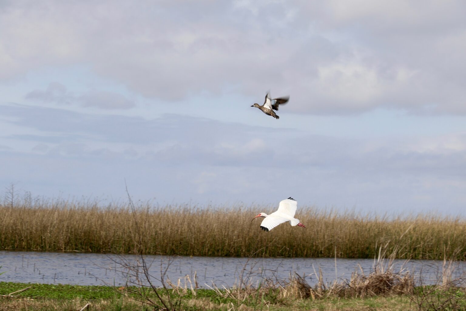 Winter restrictions for SW La. wildlife refuges begin Oct. 15 Winter restrictions for SW La. wildlife refuges begin Oct. 15