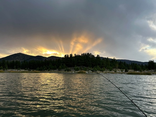 Lake Almanor Fishing Report – SierraDailyNews.com Lake Almanor Fishing Report