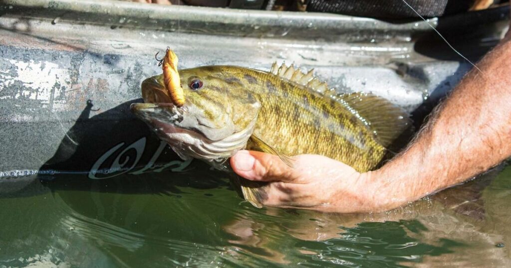 Elkhorn Creek is a Bluegrass Smallmouth Treasure | Sports Elkhorn Creek is a Bluegrass Smallmouth Treasure | Sports