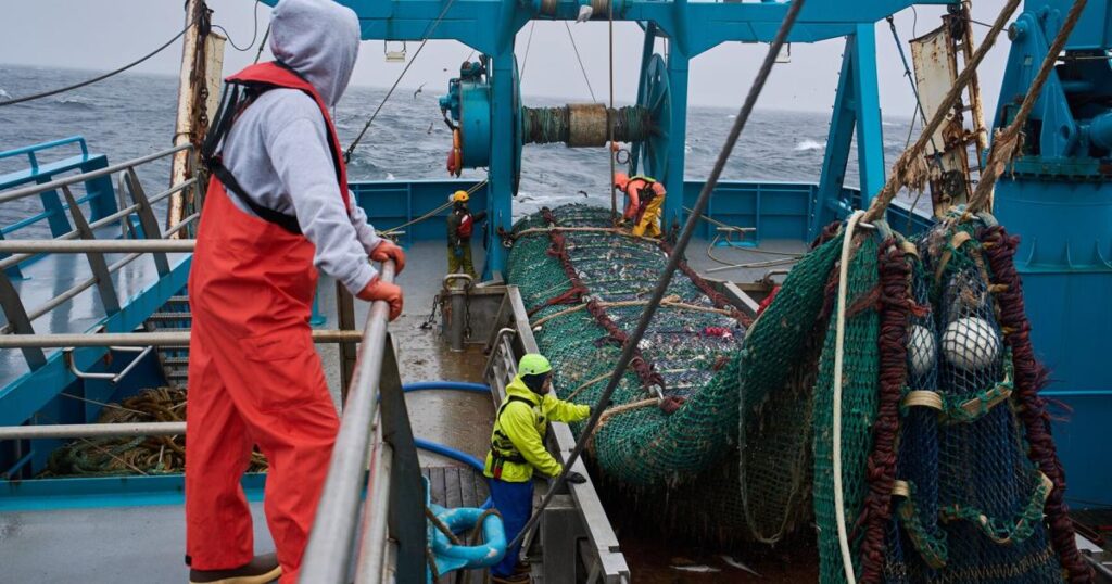 ‘Fish stick’ fish fuels fight in 49th state | Waterfront ‘Fish stick’ fish fuels fight in 49th state | Waterfront