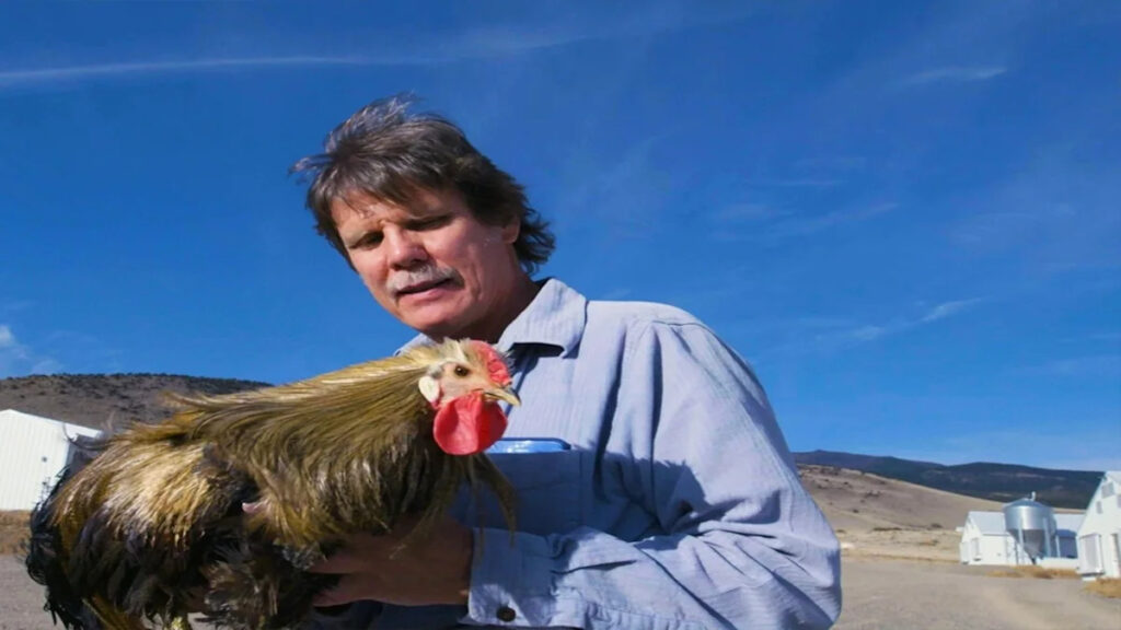 Whiting Farms, the Colorado poultry farm creating feathers for fly fishing Whiting Farms, the Colorado poultry farm creating feathers for fly fishing