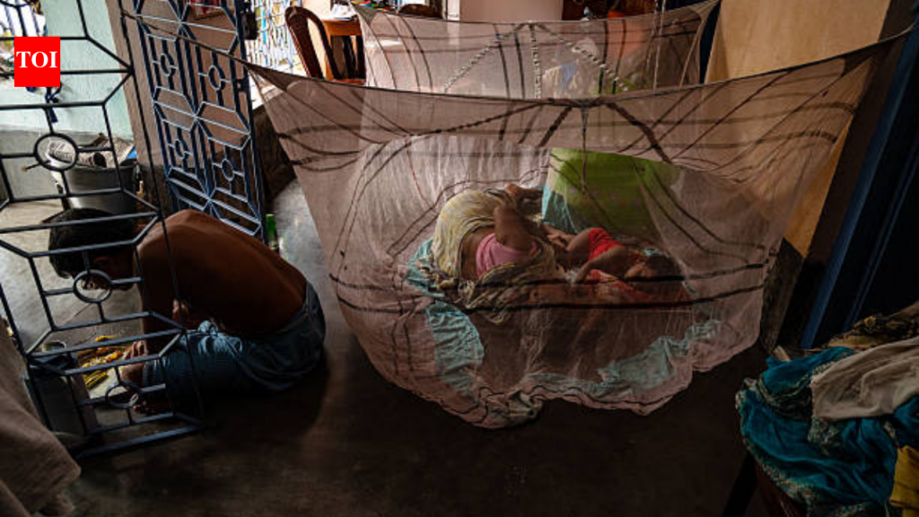 Since 2004, Bill Gates has sent millions of anti-malaria nets to Africa, but the donated gear has been devastating local waters for years Since 2004, Bill Gates has sent millions of anti-malaria nets to Africa, but the donated gear has been devastating local waters for years
