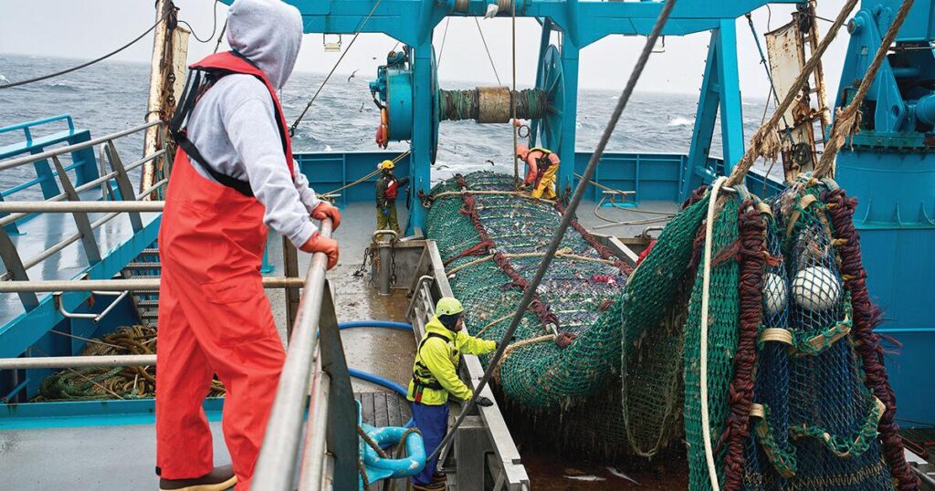 The fish behind America’s fish sticks is fueling a fight over trawling in Alaska | Local News The fish behind America’s fish sticks is fueling a fight over trawling in Alaska | Local News