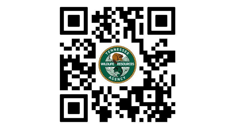 Scan this QR Code to participate in a survey regarding TWRA's new trout management plan. (Code courtesy TWRA)