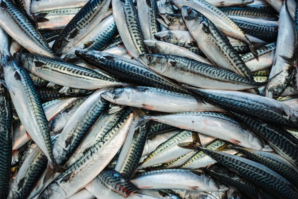 Retailers Warn Europe’s Fishing Industry to Stop Overfishing