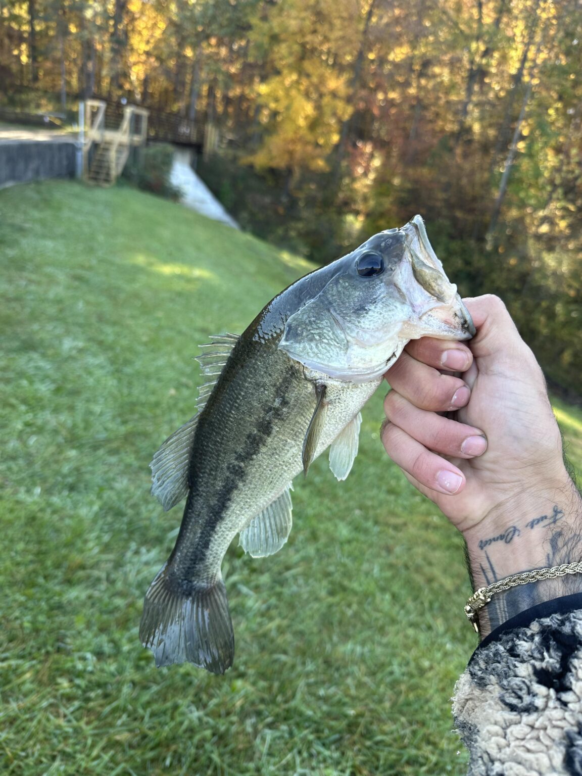 What a beauty
