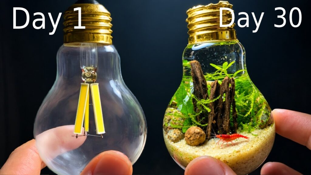 Can an Aquarium Survive in a Lightbulb?