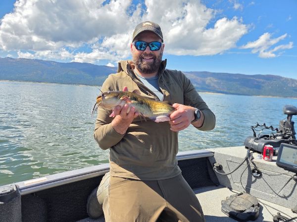 Lake Cascade Angler Sets New Catch-and-Release State Record for Bullhead Catfish – The Outdoor Wire Lake Cascade Angler Sets New Catch-and-Release State Record for Bullhead Catfish - The Outdoor Wire