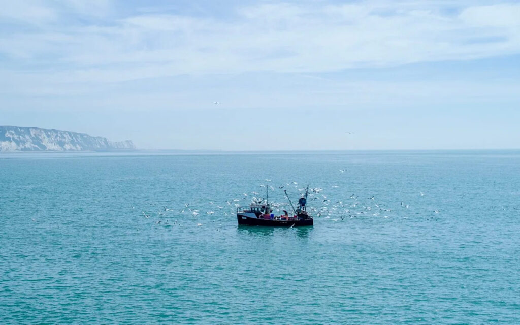 Britain’s fishing fleet on the brink of collapse Britain’s fishing fleet on the brink of collapse