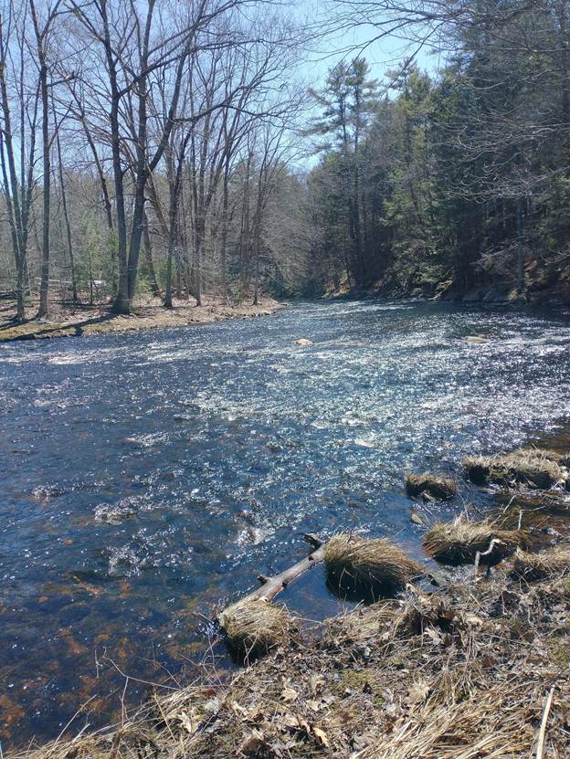 Writing on the Fly: Spring Training with a Fly Rod