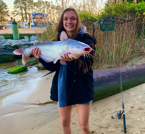Join the Hunt: How to Catch a Blue Catfish in Maryland Photo of woman holding a fish
