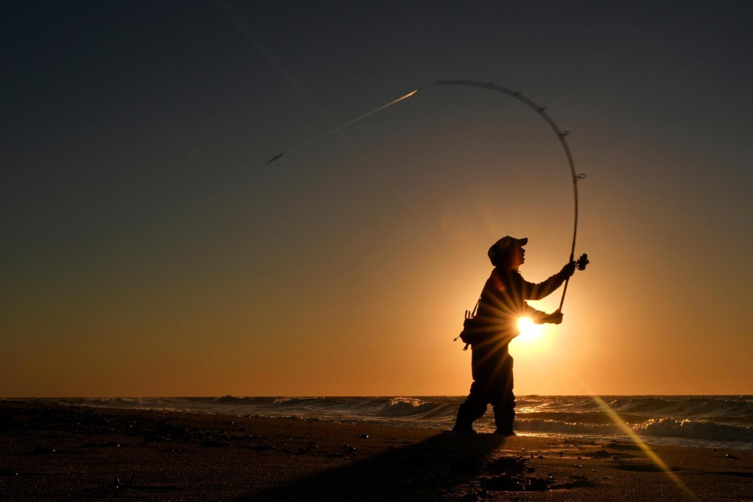 Striped bass, an iconic sport fish, could face collapse Striped bass, an iconic sport fish, could face collapse