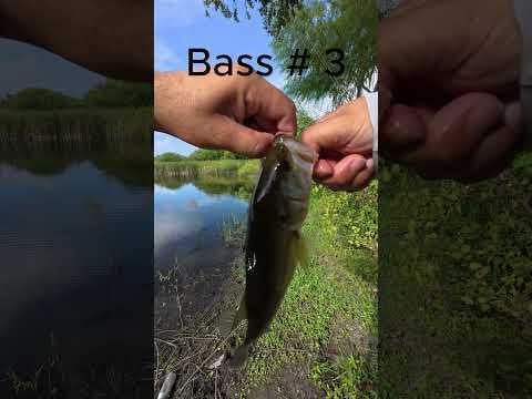 Fishing with a subscriber #sanantonio #bassfishing #pondfishing