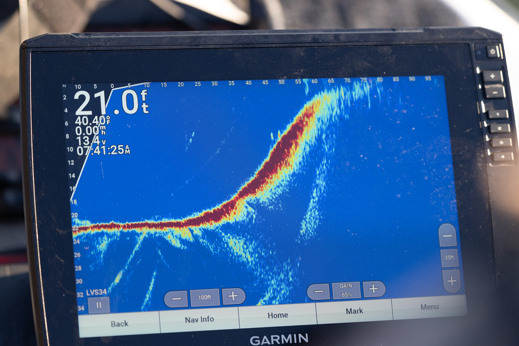 Image of computer screen showing sonar reading of a fish