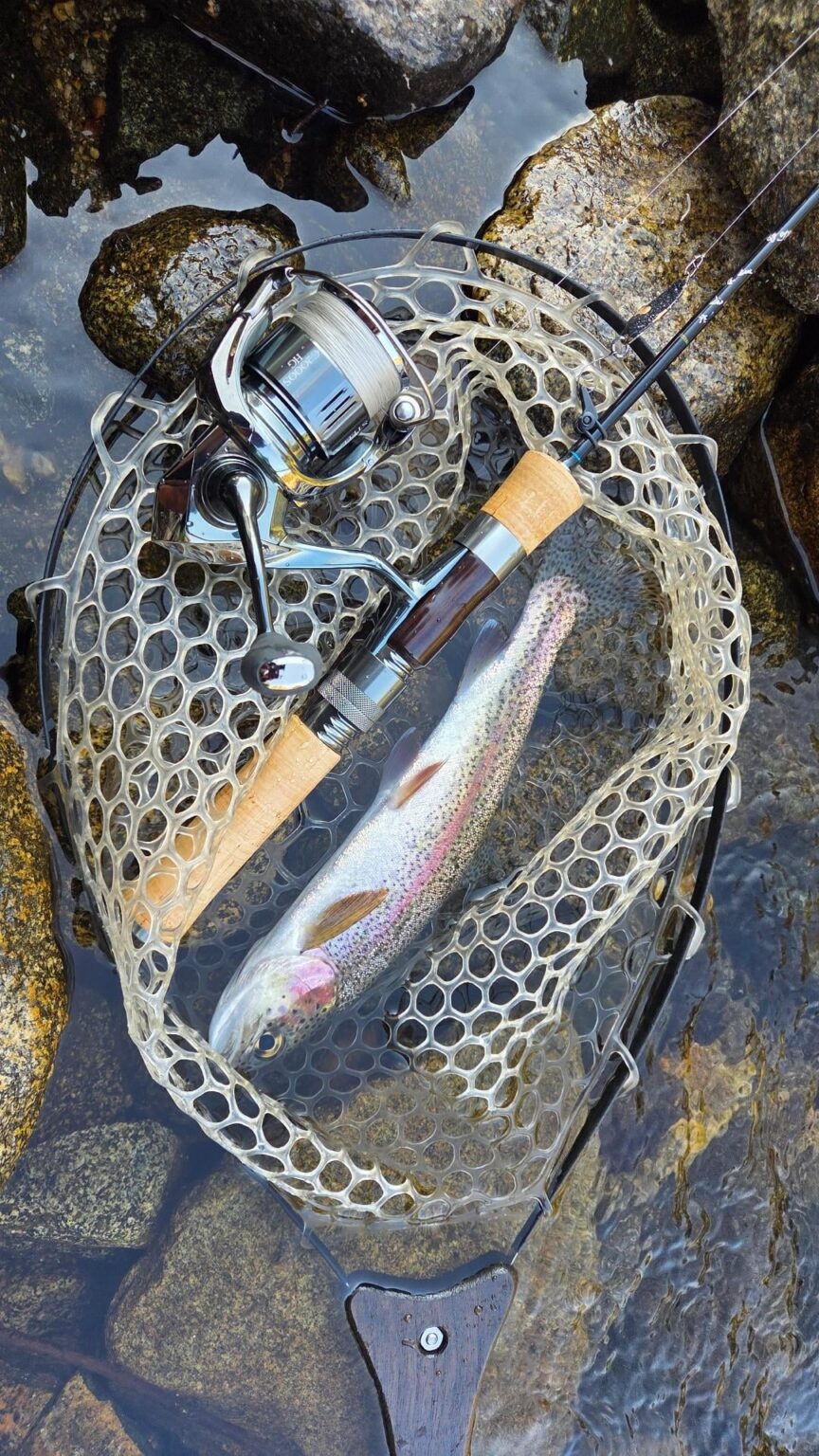Yosemite trout fishing