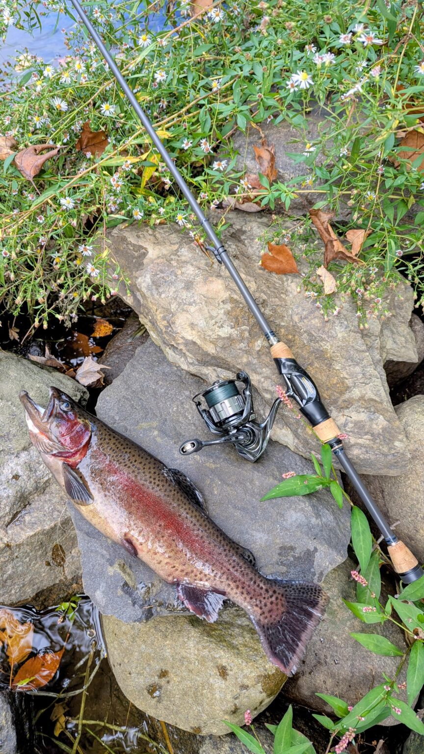 Jersey Fall Stocking Opener