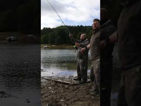 Uzbuna na Krushevsko ezero  #carpfishing #ribolov #pecanje #carp #fishing