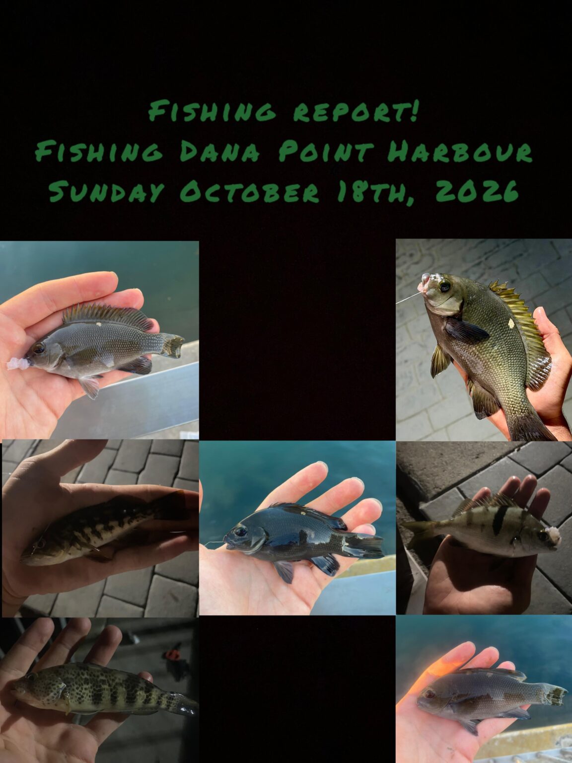 Fishing and Conditions Report Time! Fishing and Conditions Report Time!