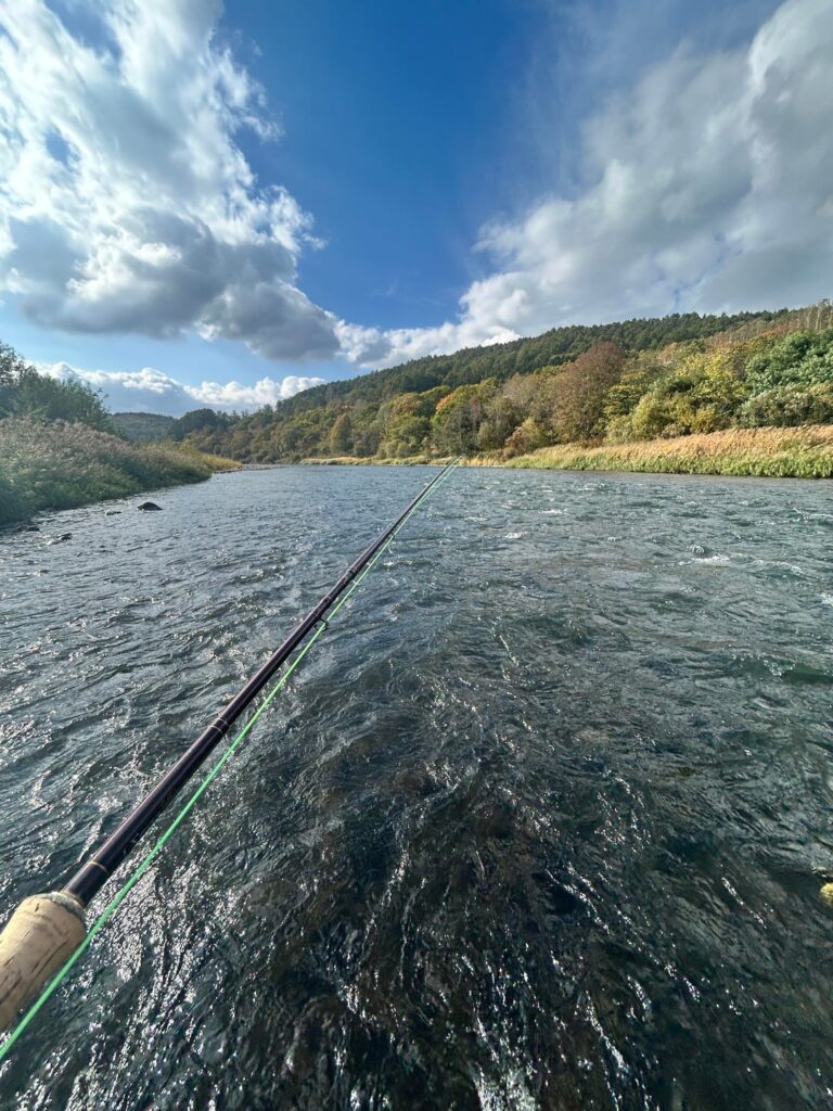 北海道の秋の本流