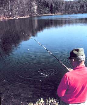 Perch fisher in spring