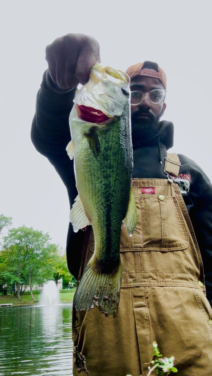 Does this count as a hog?