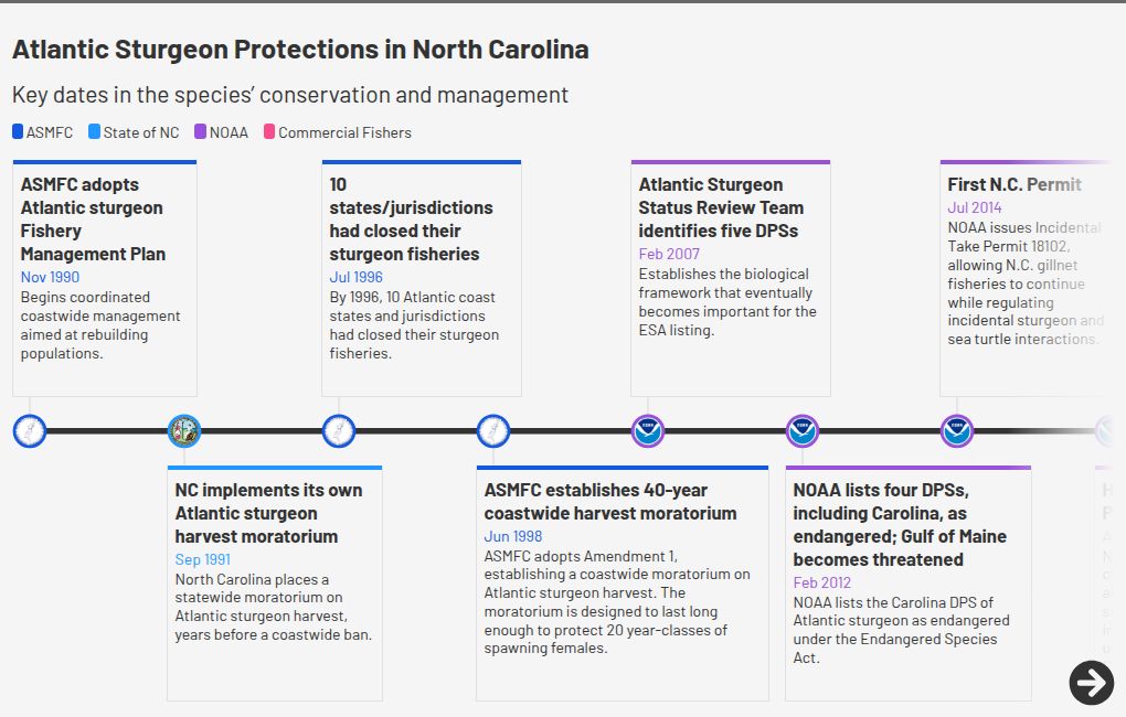 timeline visualization